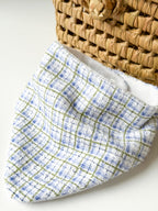 Babete Impermeável Lenço Xadrez Azul e Verde